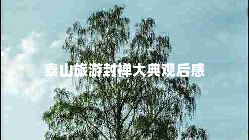 泰山旅游封禪大典觀后感