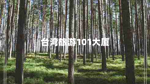 臺灣旅游101大廈