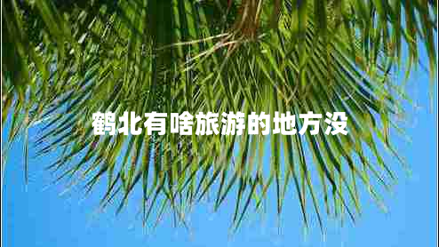 鶴北有啥旅游的地方?jīng)]