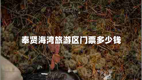 奉賢海灣旅游區(qū)門票多少錢