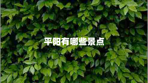 平陽有哪些景點(diǎn)