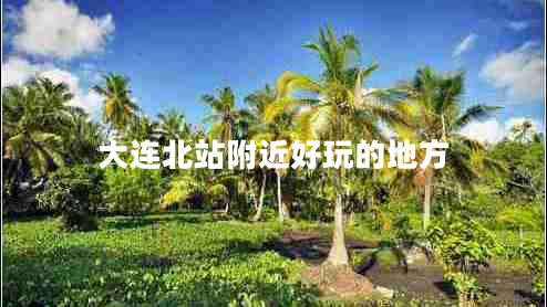 大連北站附近好玩的地方