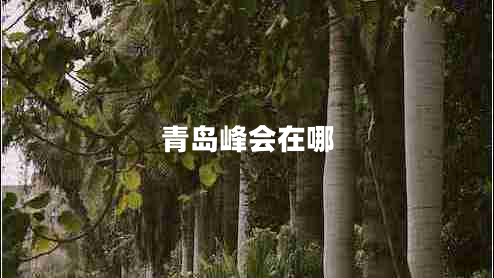 青島峰會在哪 青島峰會在哪