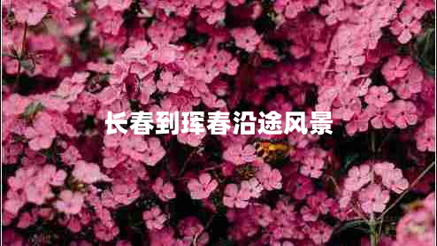 長春到琿春沿途風(fēng)景 長春到琿春沿途風(fēng)景