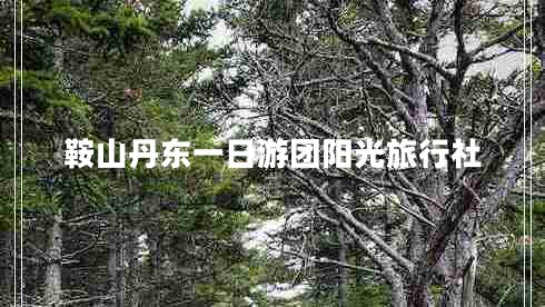 鞍山丹東一日游團(tuán)陽(yáng)光旅行社