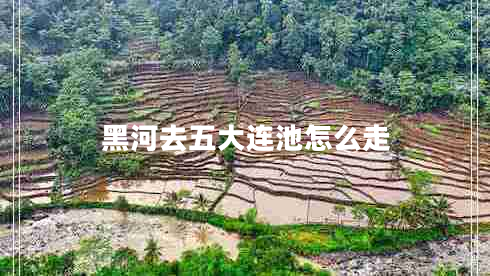 黑河去五大連池怎么走 黑河去五大連池怎么走