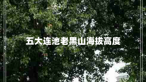 五大連池老黑山海拔高度