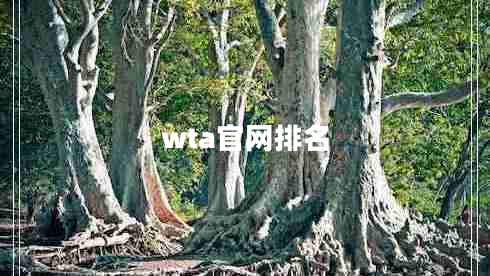 wta官網(wǎng)排名