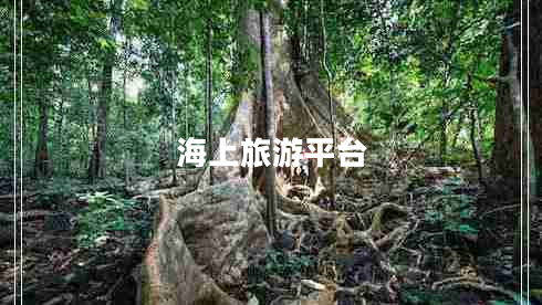 海上旅游平臺(tái) 海上旅游平臺(tái)