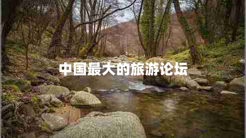 中國(guó)最大的旅游論壇