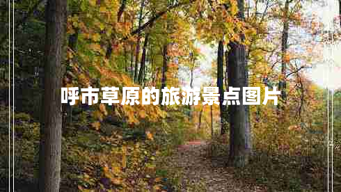 呼市草原的旅游景點(diǎn)圖片 呼市草原的旅游景點(diǎn)圖片