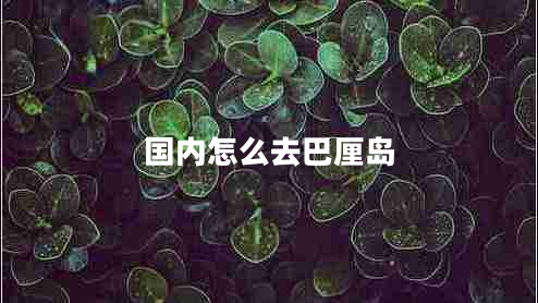 國內(nèi)怎么去巴厘島