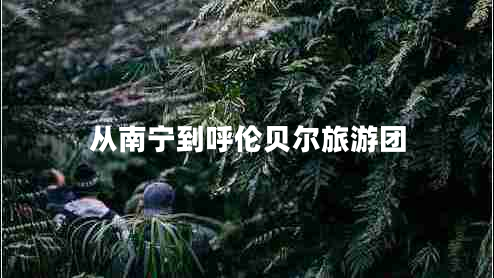 從南寧到呼倫貝爾旅游團 從南寧到呼倫貝爾旅游團