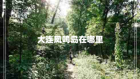 大連鳳鳴島在哪里 大連鳳鳴島在哪里