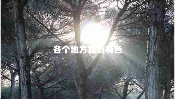 各個(gè)地方旅游特色