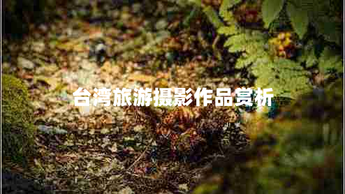 臺灣旅游攝影作品賞析
