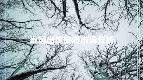 泰國出境旅游市場分析