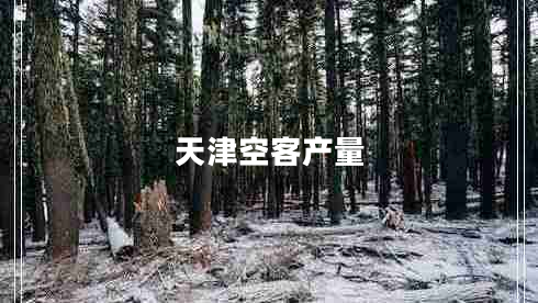 天津空客產(chǎn)量