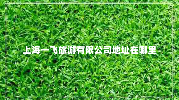 上海一飛旅游有限公司地址在哪里
