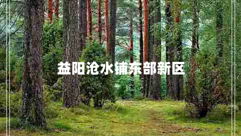 益陽(yáng)滄水鋪東部新區(qū)