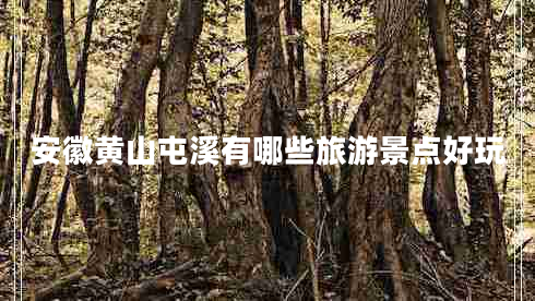 安徽黃山屯溪有哪些旅游景點(diǎn)好玩
