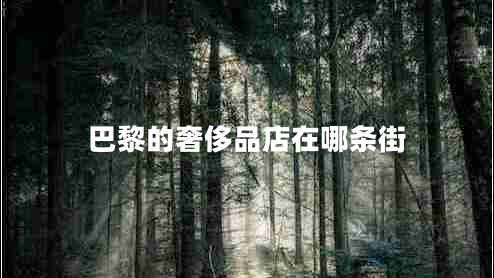 巴黎的奢侈品店在哪條街 巴黎的奢侈品店在哪條街