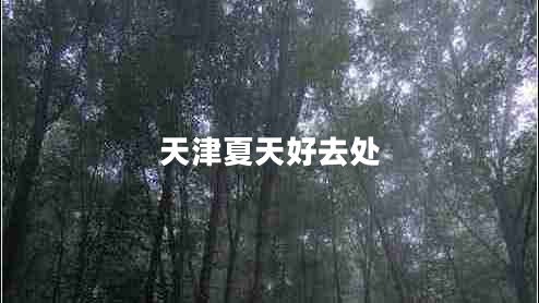 天津夏天好去處 天津夏天好去處