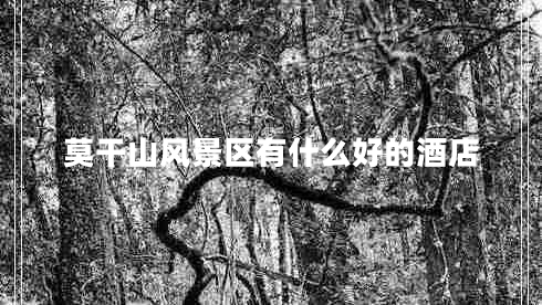 莫干山風(fēng)景區(qū)有什么好的酒店