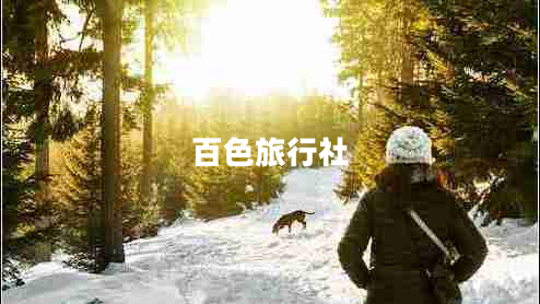 百色旅行社 百色旅行社
