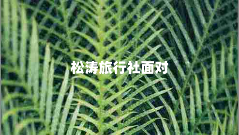 松濤旅行社面對(duì)