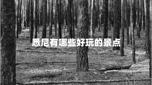 悉尼有哪些好玩的景點 悉尼有哪些好玩的景點