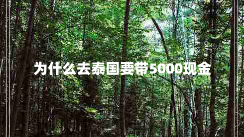 為什么去泰國要帶5000現(xiàn)金 為什么去泰國要帶5000現(xiàn)金