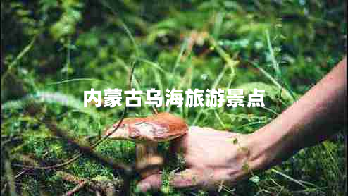 內蒙古烏海旅游景點