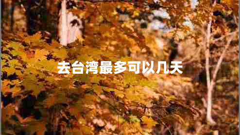 去臺灣最多可以幾天