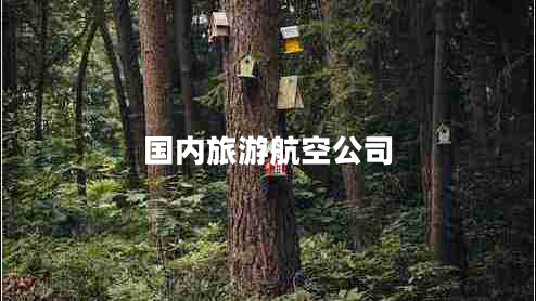 國內(nèi)旅游航空公司 國內(nèi)旅游航空公司
