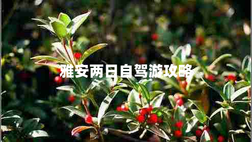 雅安兩日自駕游攻略