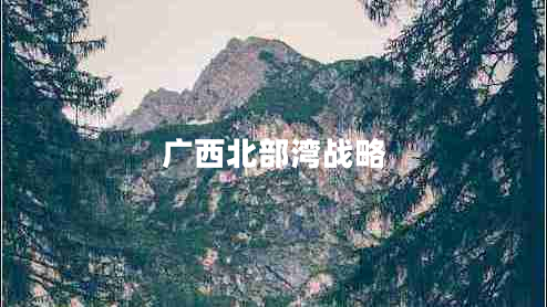 廣西北部灣戰(zhàn)略