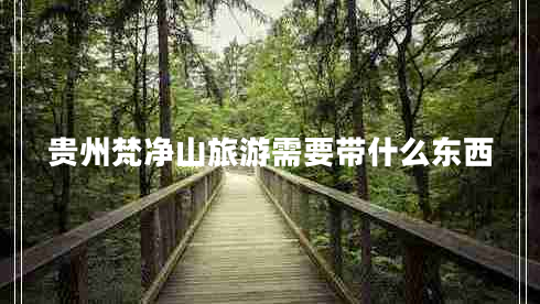 貴州梵凈山旅游需要帶什么東西