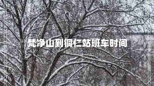 梵凈山到銅仁站班車(chē)時(shí)間