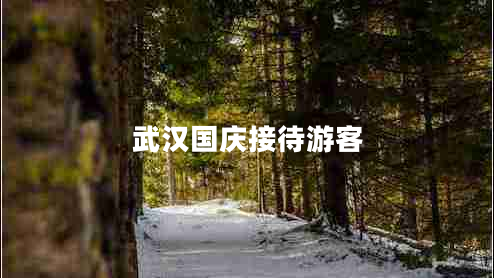 武漢國慶接待游客