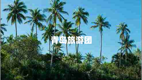 青島旅游團(tuán) 青島旅游團(tuán)