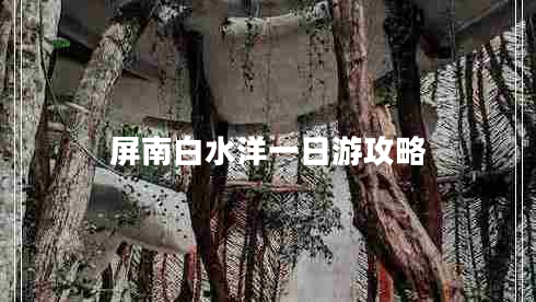 屏南白水洋一日游攻略