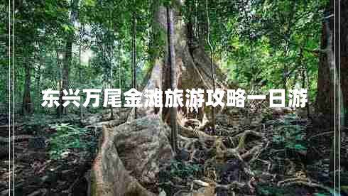 東興萬尾金灘旅游攻略一日游