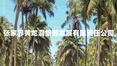 張家界黃龍洞旅游發(fā)展有限責(zé)任公司