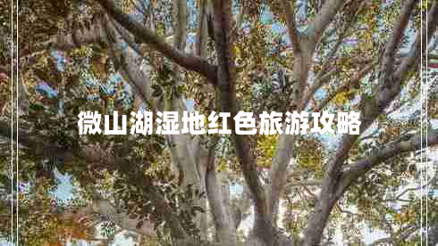 微山湖濕地紅色旅游攻略