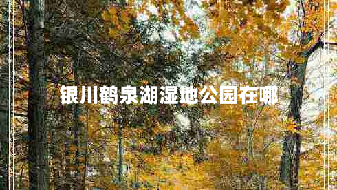 銀川鶴泉湖濕地公園在哪