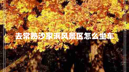 去常熟沙家浜風(fēng)景區(qū)怎么坐車 去常熟沙家浜風(fēng)景區(qū)怎么坐車