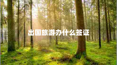 出國旅游辦什么簽證