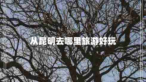 從昆明去哪里旅游好玩