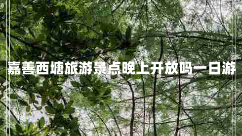 嘉善西塘旅游景點晚上開放嗎一日游